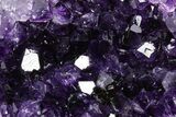Free-Standing Amethyst Crystal Cluster - Uruguay #368252-1